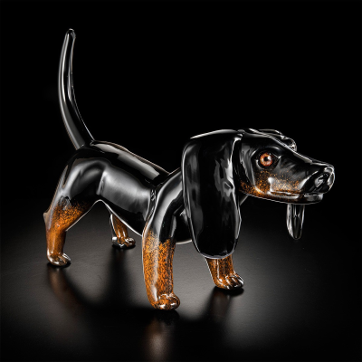 Small Black dachshund