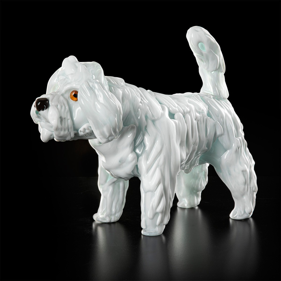 Caniche blanc petit avec fourrure