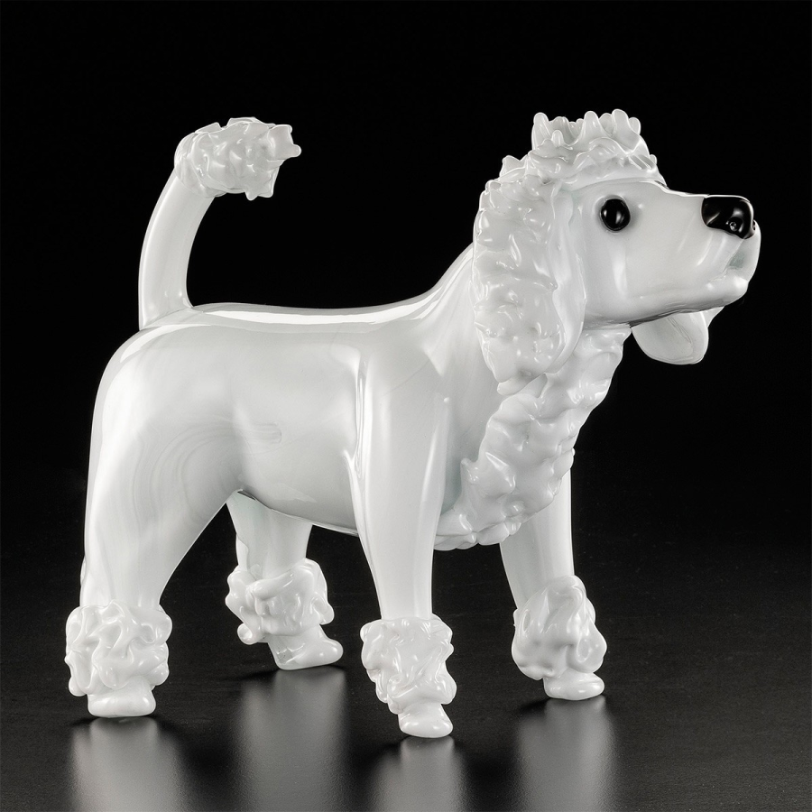 Caniche blanc grand